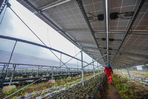 中國十三省最大光伏電站在這里！欽州康熙嶺的光伏電站能排上號(hào)了嗎？